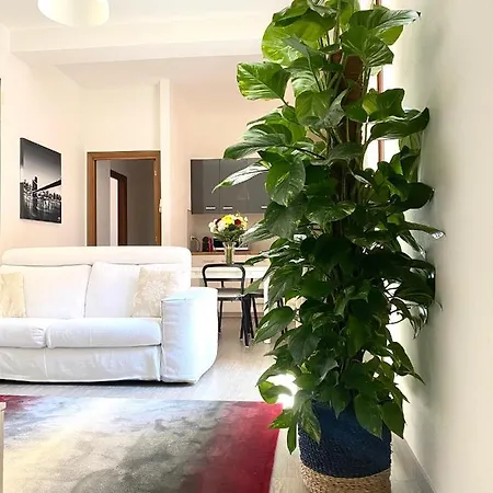 Delonix Regia Lägenhet